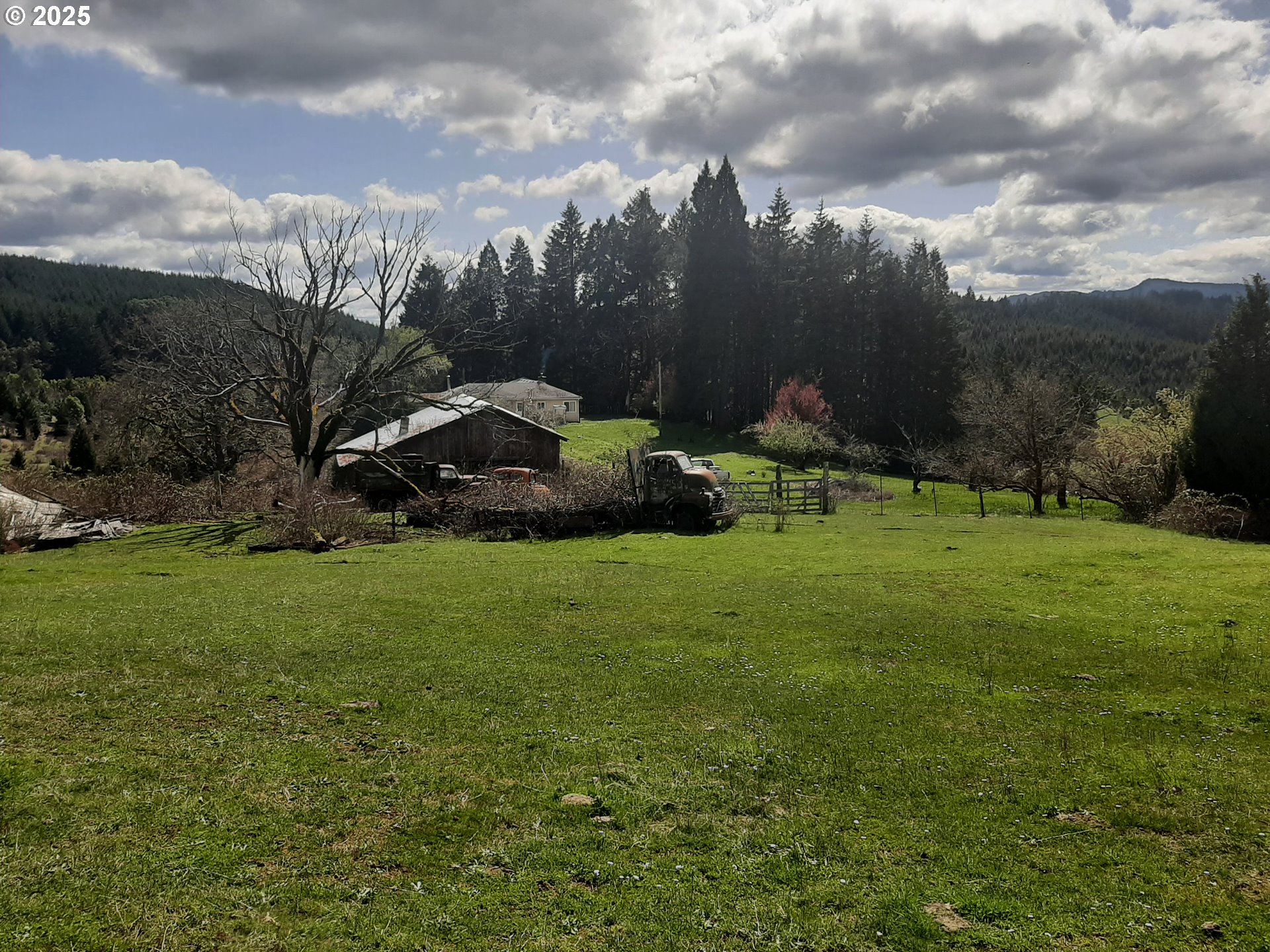 Oakland, Oregon 97462, United States, 3 Bedrooms Bedrooms, ,2 BathroomsBathrooms,Residential,Active,103394