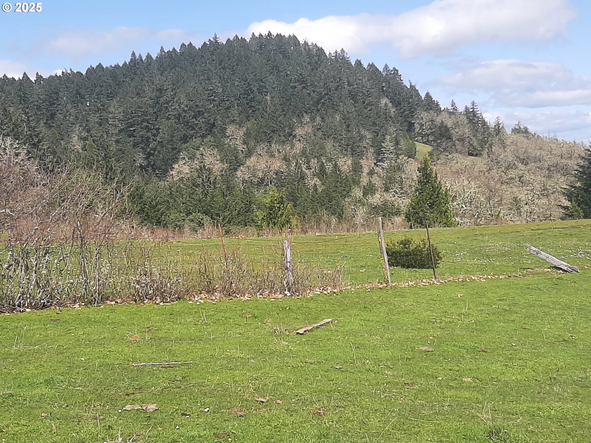 Oakland, Oregon 97462, United States, 3 Bedrooms Bedrooms, ,2 BathroomsBathrooms,Residential,Active,103394