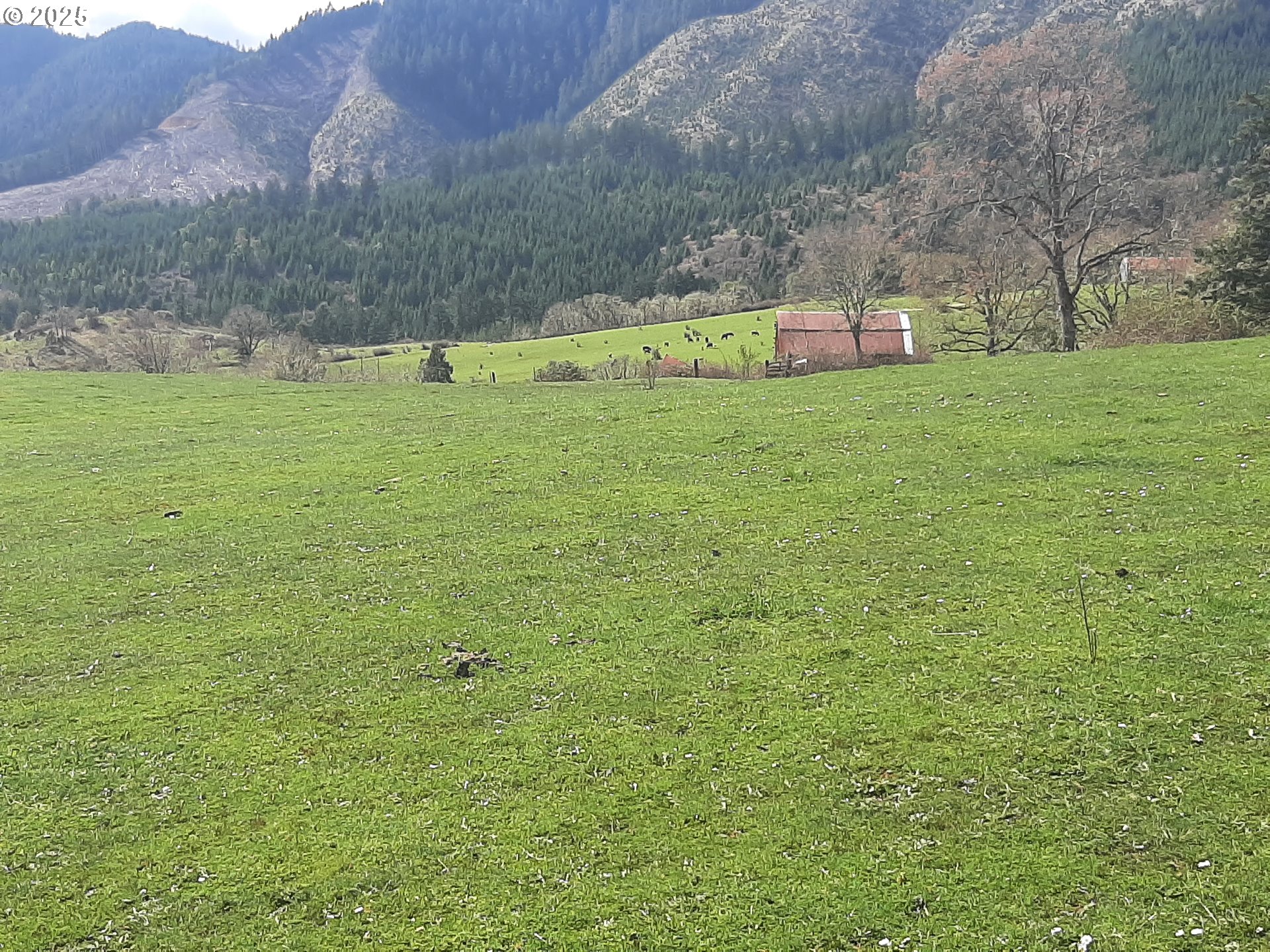 Oakland, Oregon 97462, United States, 3 Bedrooms Bedrooms, ,2 BathroomsBathrooms,Residential,Active,103394