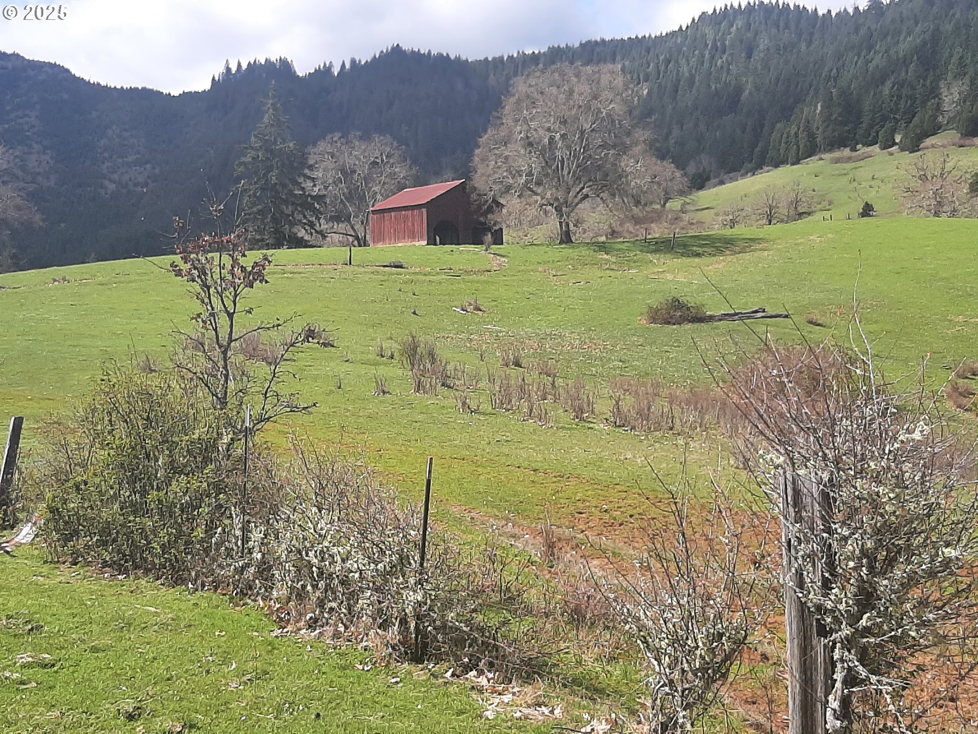 Oakland, Oregon 97462, United States, 3 Bedrooms Bedrooms, ,2 BathroomsBathrooms,Residential,Active,103394