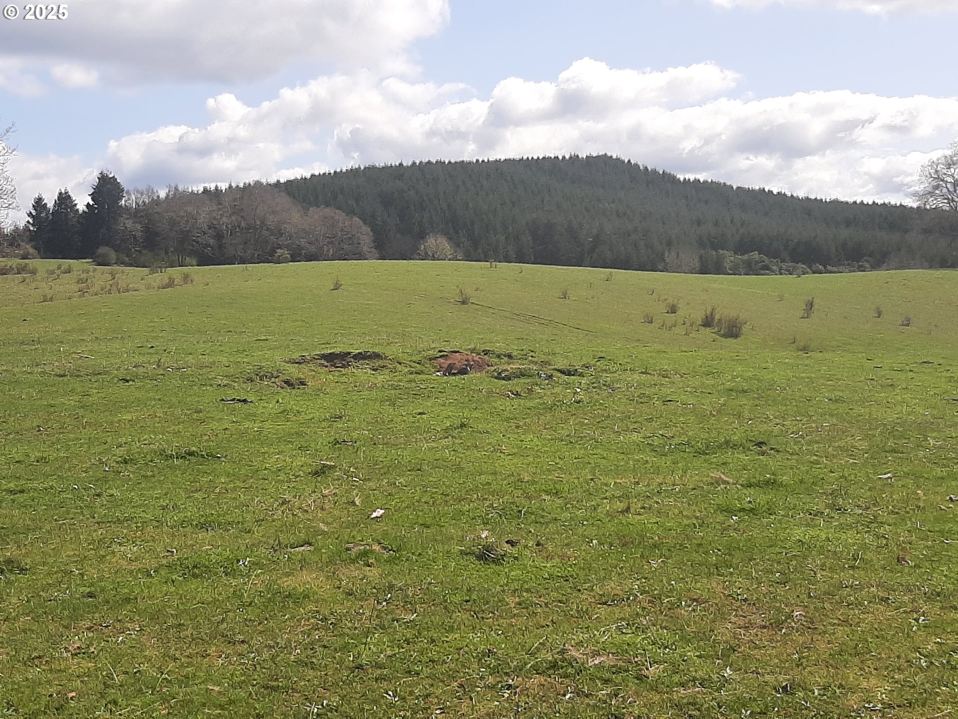 Oakland, Oregon 97462, United States, 3 Bedrooms Bedrooms, ,2 BathroomsBathrooms,Residential,Active,103394