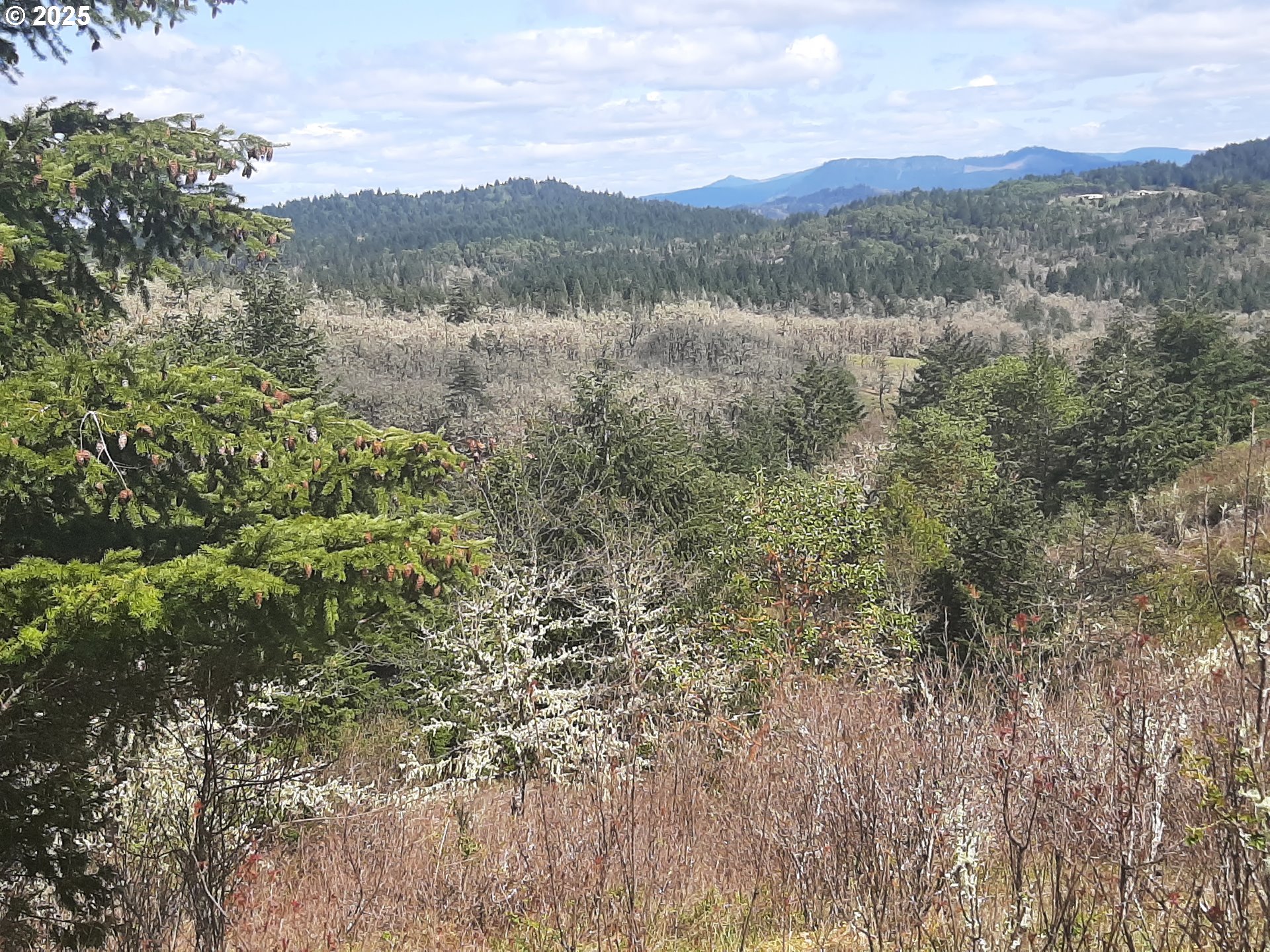 Oakland, Oregon 97462, United States, 3 Bedrooms Bedrooms, ,2 BathroomsBathrooms,Residential,Active,103394