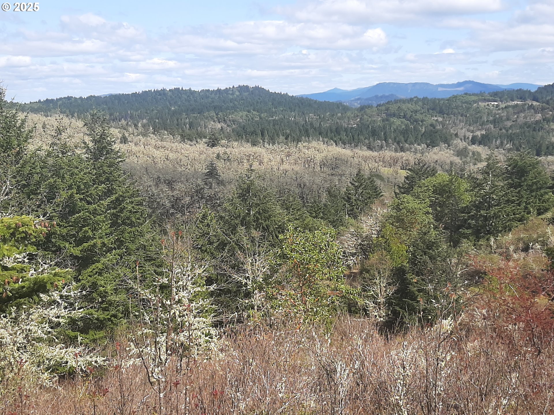 Oakland, Oregon 97462, United States, 3 Bedrooms Bedrooms, ,2 BathroomsBathrooms,Residential,Active,103394