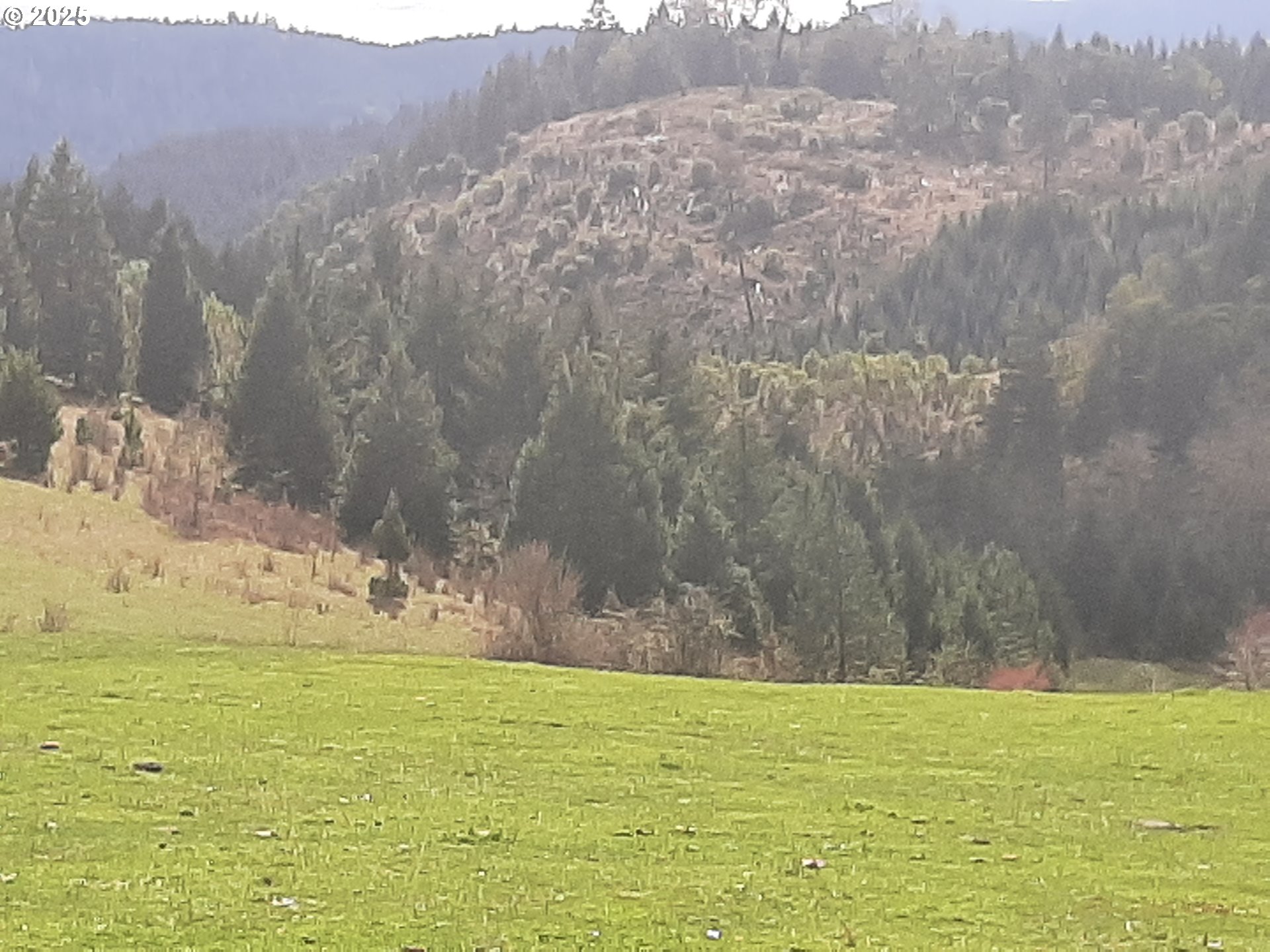 Oakland, Oregon 97462, United States, 3 Bedrooms Bedrooms, ,2 BathroomsBathrooms,Residential,Active,103394