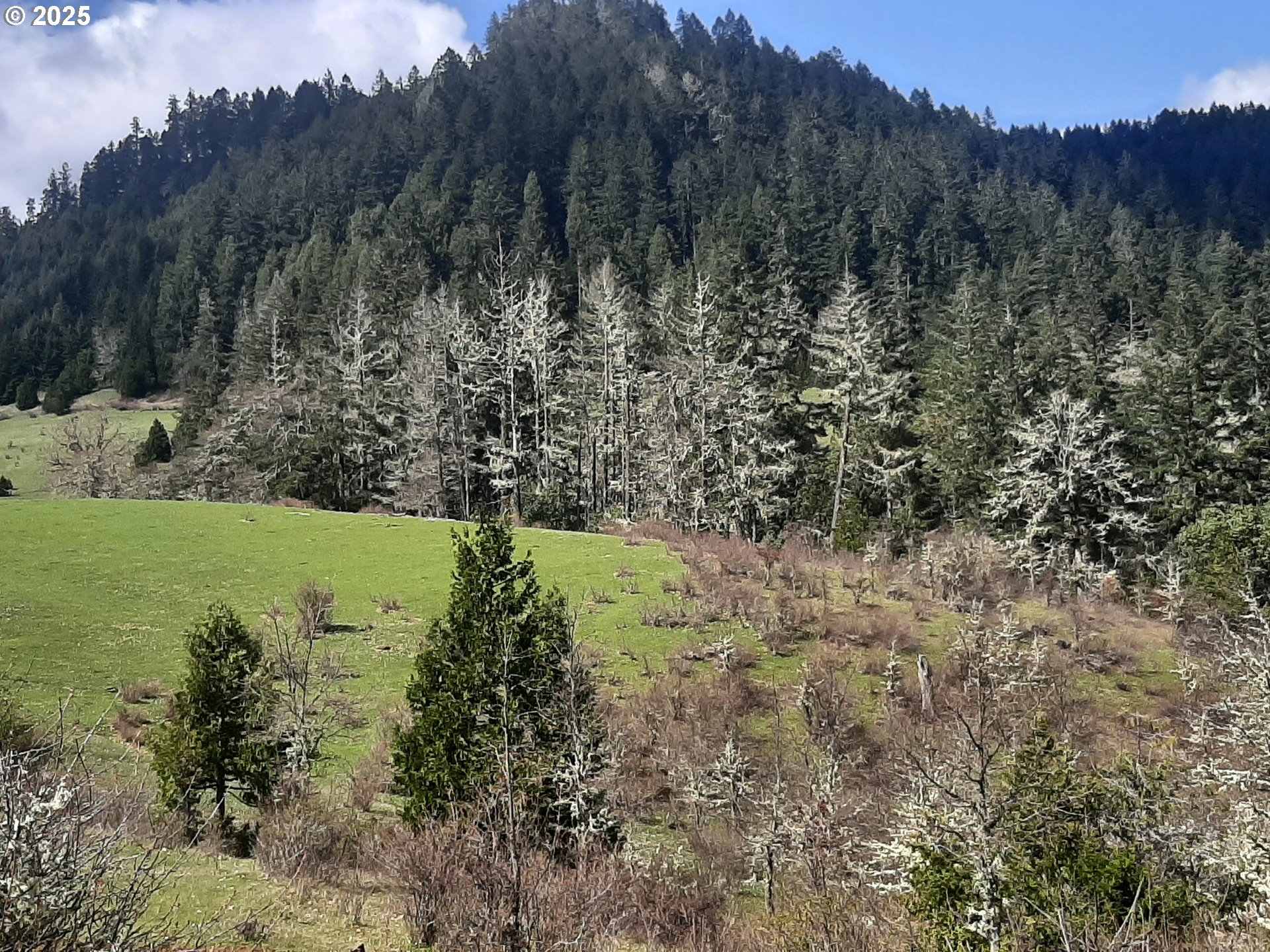 Oakland, Oregon 97462, United States, 3 Bedrooms Bedrooms, ,2 BathroomsBathrooms,Residential,Active,103394