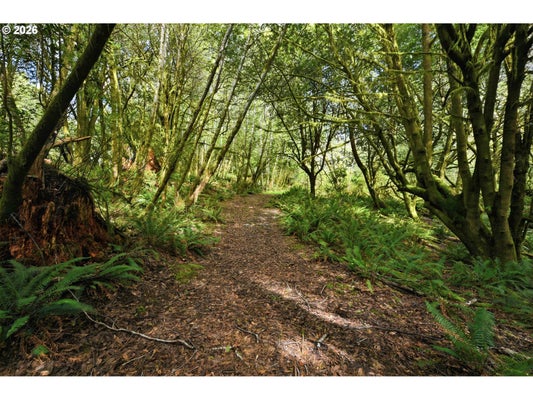 COUGAR RD, COQUILLE, OR 97423 - Image ca2fb2cacdb1c3d9e2b9b06b791e566f/1633759150