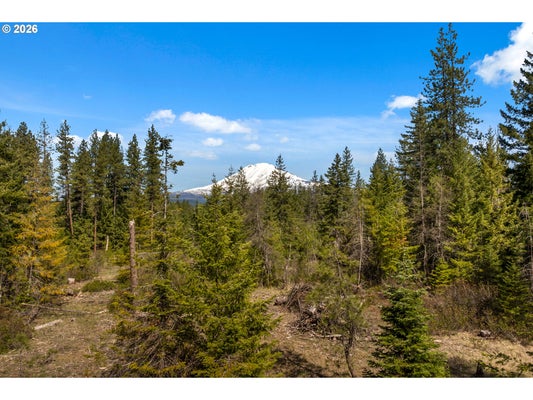 4 TROUT CREEK RD, TROUT LAKE, WA 98650 - Image ca55fa557ce6b3a3d8fc62ccf7ec6bf3/3336250265