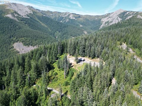 SNAG MOUNTAIN RD 11200 Washougal WA 98671