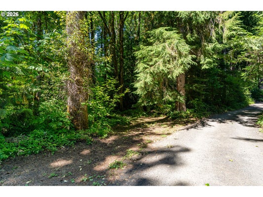 RD 24, RHODODENDRON, OR 97049 - Image cb4e2f1cda834dfa9d02d6b37e7cad54/4048295743
