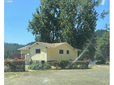 A home in Tenmile