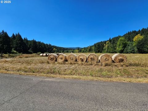 Tiny photo for 82168 Hanna Rd, Dexter, OR 97431 (MLS # 760918815)