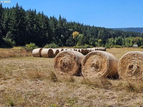 Tiny photo for 82168 Hanna Rd, Dexter, OR 97431 (MLS # 760918815)