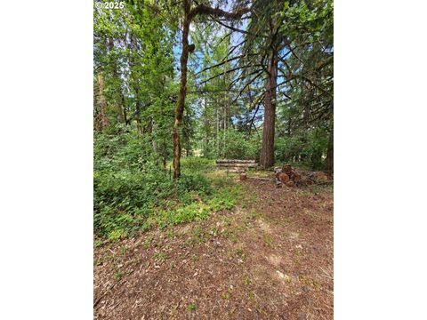 Tiny photo for 82168 Hanna Rd, Dexter, OR 97431 (MLS # 760918815)