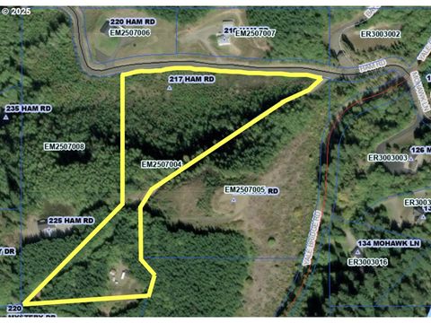 217 HAM RD Amboy WA 98601