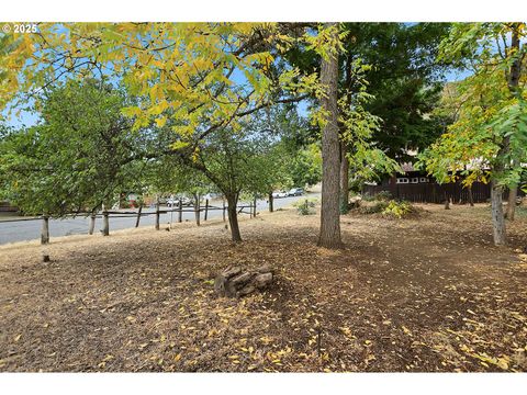 E Franklin ST Bingen WA 98605