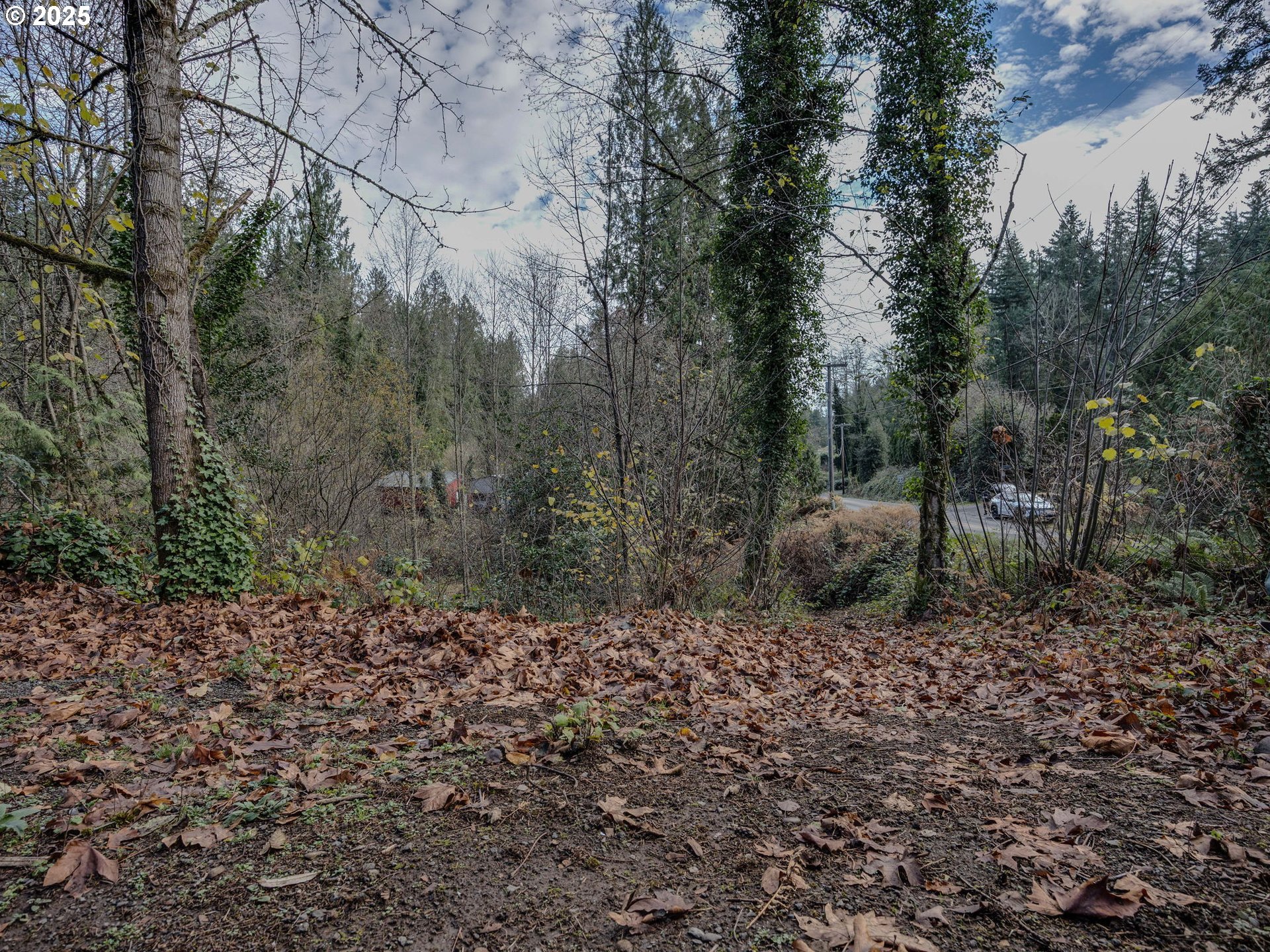 Sandy, Oregon 97055, United States, ,Land,Active,251688