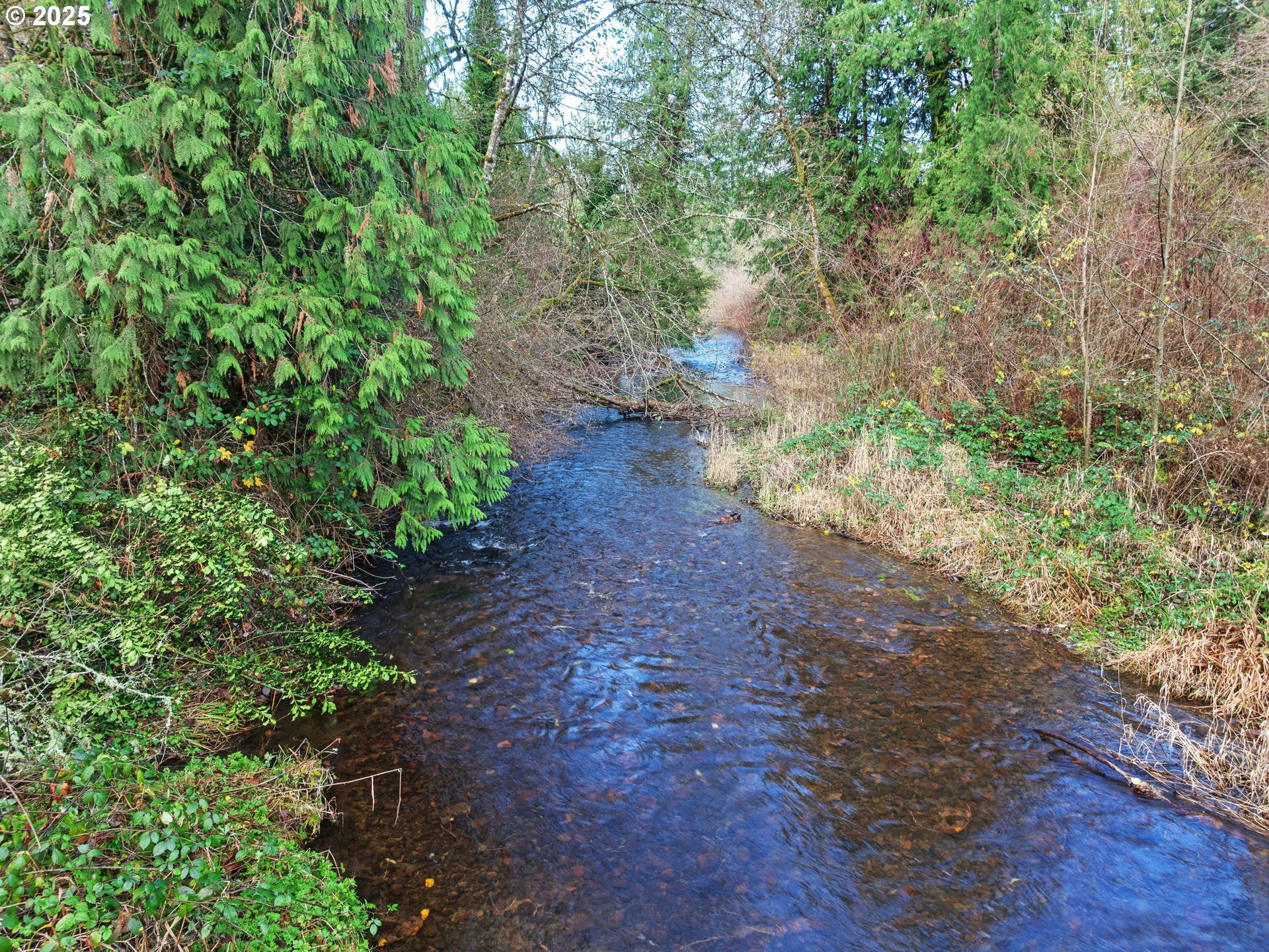 Sandy, Oregon 97055, United States, ,Land,Active,251688