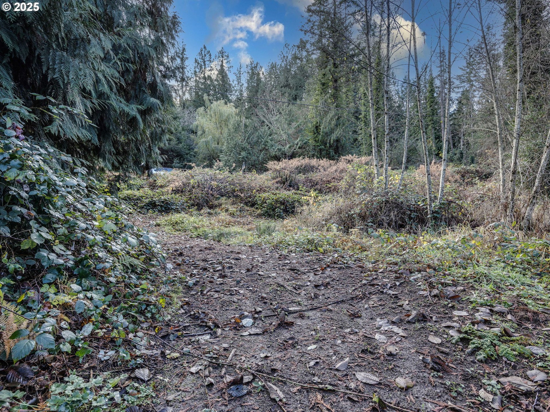 Sandy, Oregon 97055, United States, ,Land,Active,251688