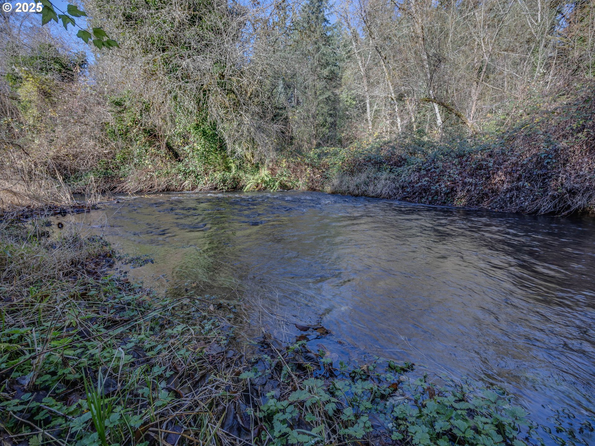 Sandy, Oregon 97055, United States, ,Land,Active,251688