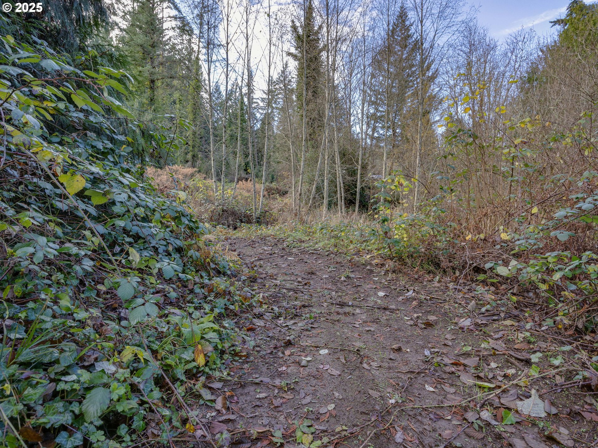 Sandy, Oregon 97055, United States, ,Land,Active,251688