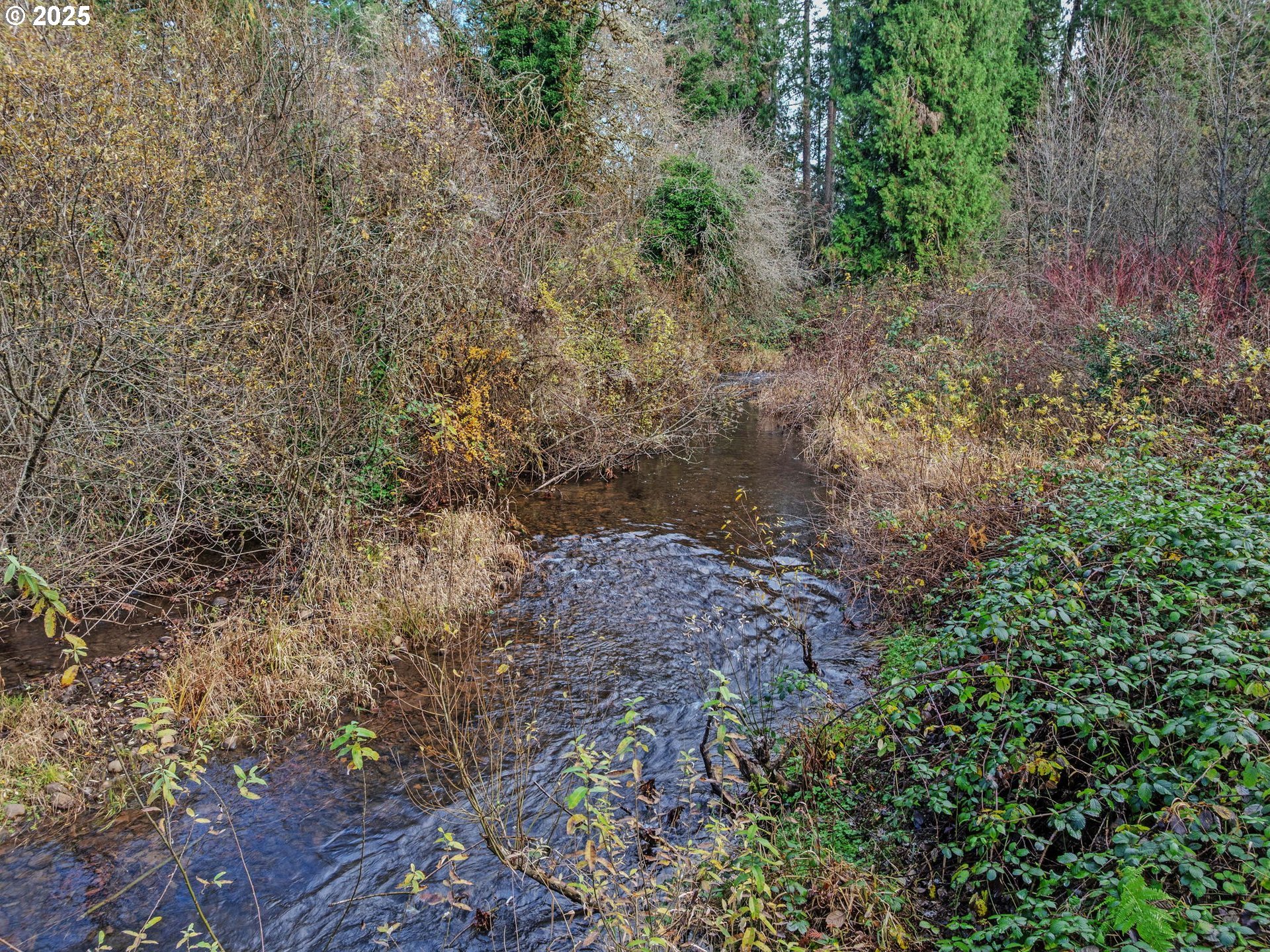 Sandy, Oregon 97055, United States, ,Land,Active,251688