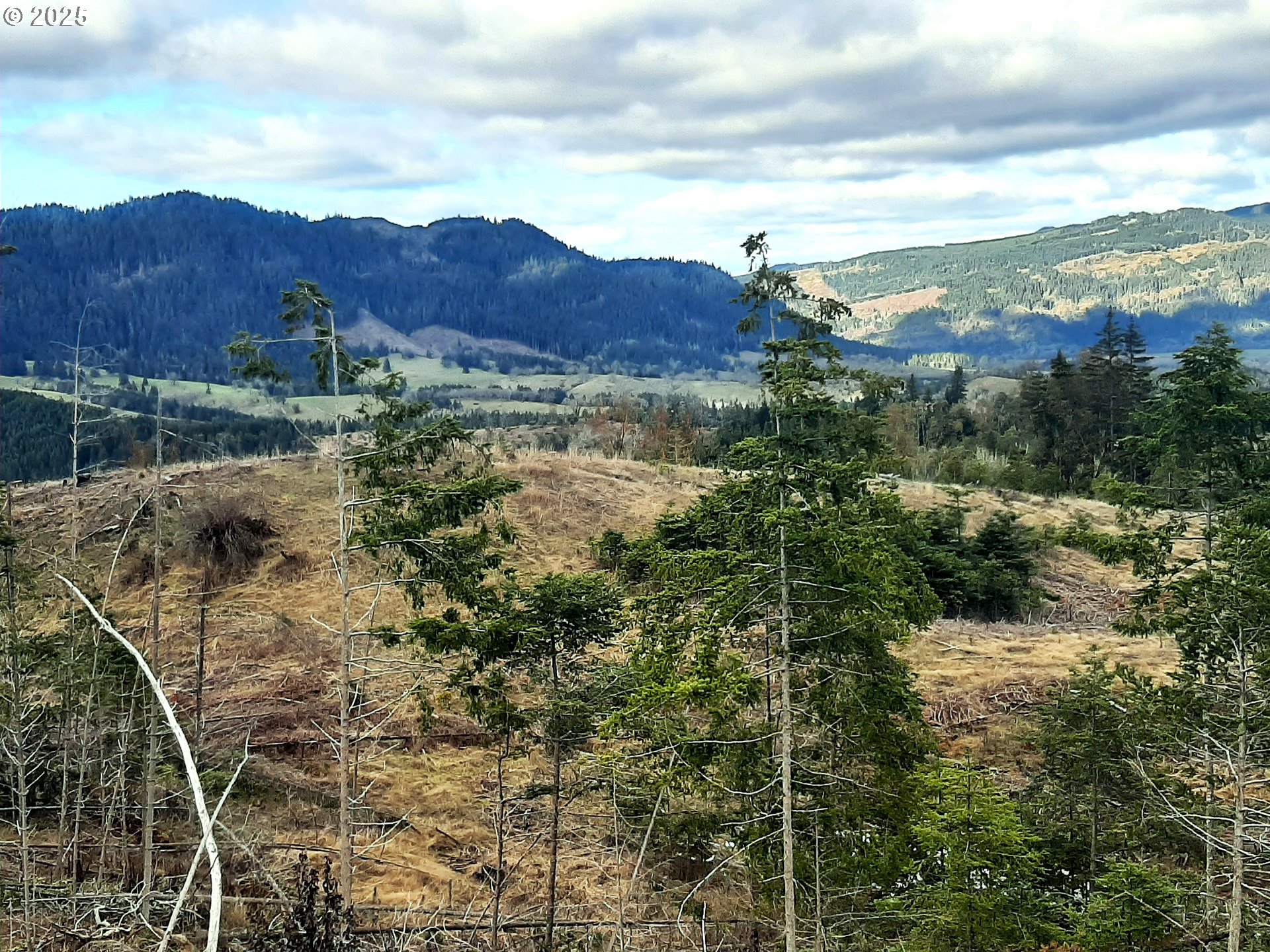 Umpqua, Oregon 97486, United States, ,Land,Active,4788