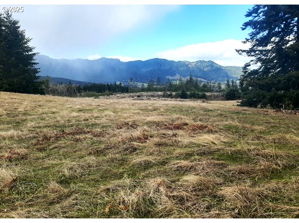 Umpqua, Oregon 97486, United States, ,Land,Active,4788