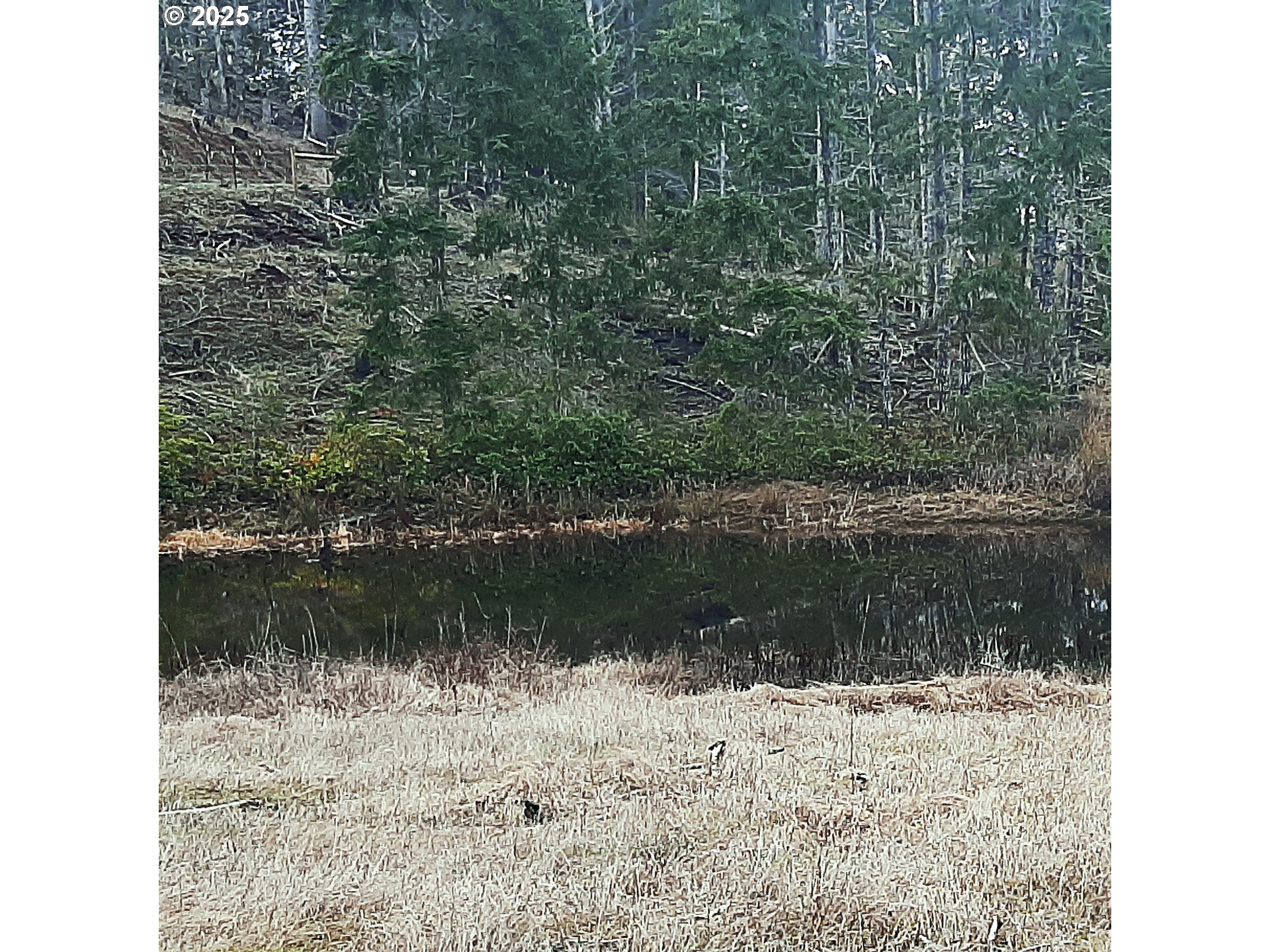 Umpqua, Oregon 97486, United States, ,Land,Active,4788