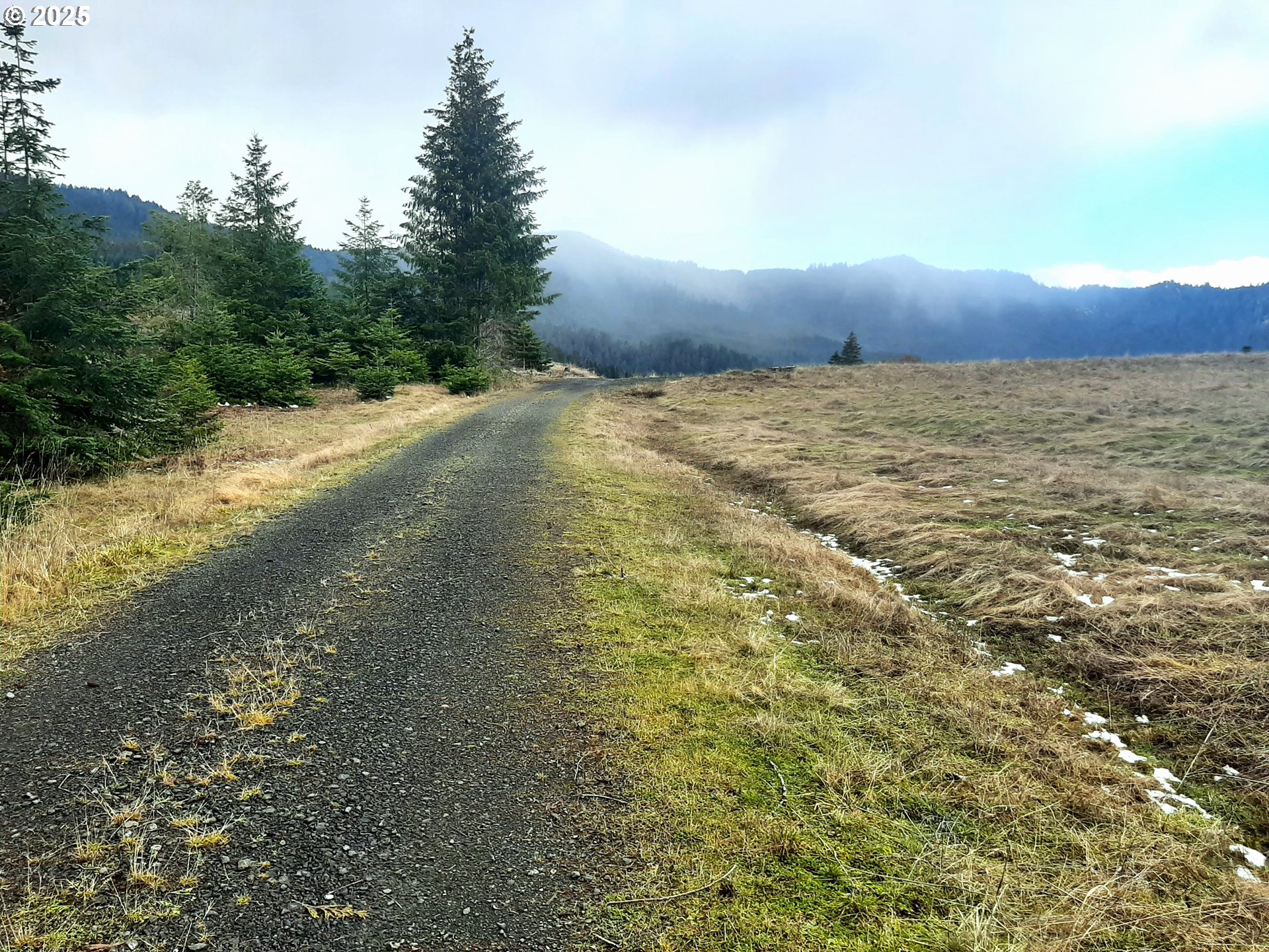 Umpqua, Oregon 97486, United States, ,Land,Active,4788