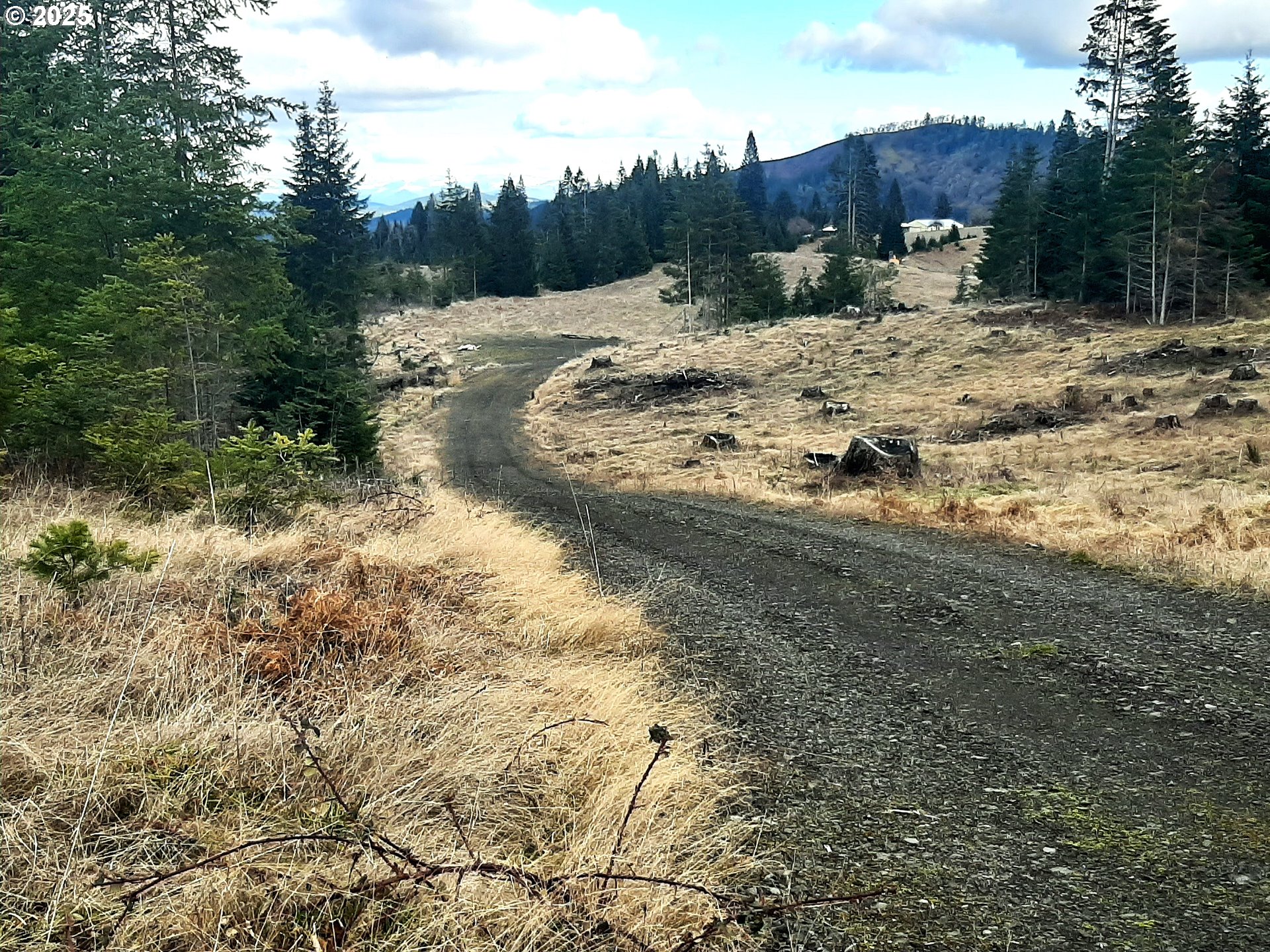 Umpqua, Oregon 97486, United States, ,Land,Active,4788