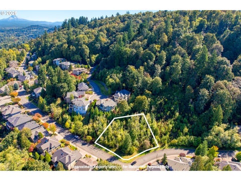 MLS: 290436707