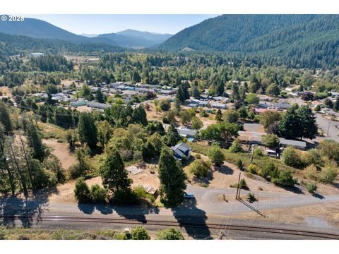Tiny photo for 48400 Railroad Ave, Oakridge, OR 97463 (MLS # 158772992)