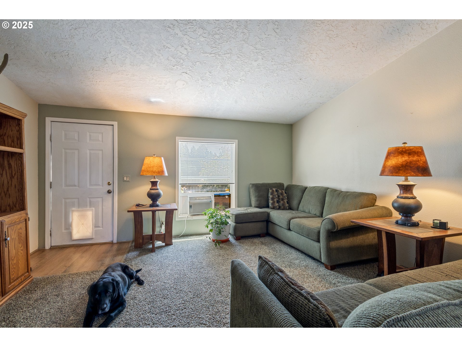 1000 S MCKERN CT 85