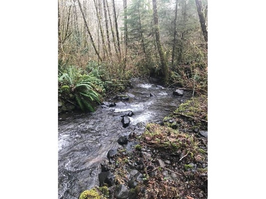 ALSEA HWY, ALSEA, OR 97324 - Image ce5caa320f54bfcb08f8caabe02831e6/2715165063