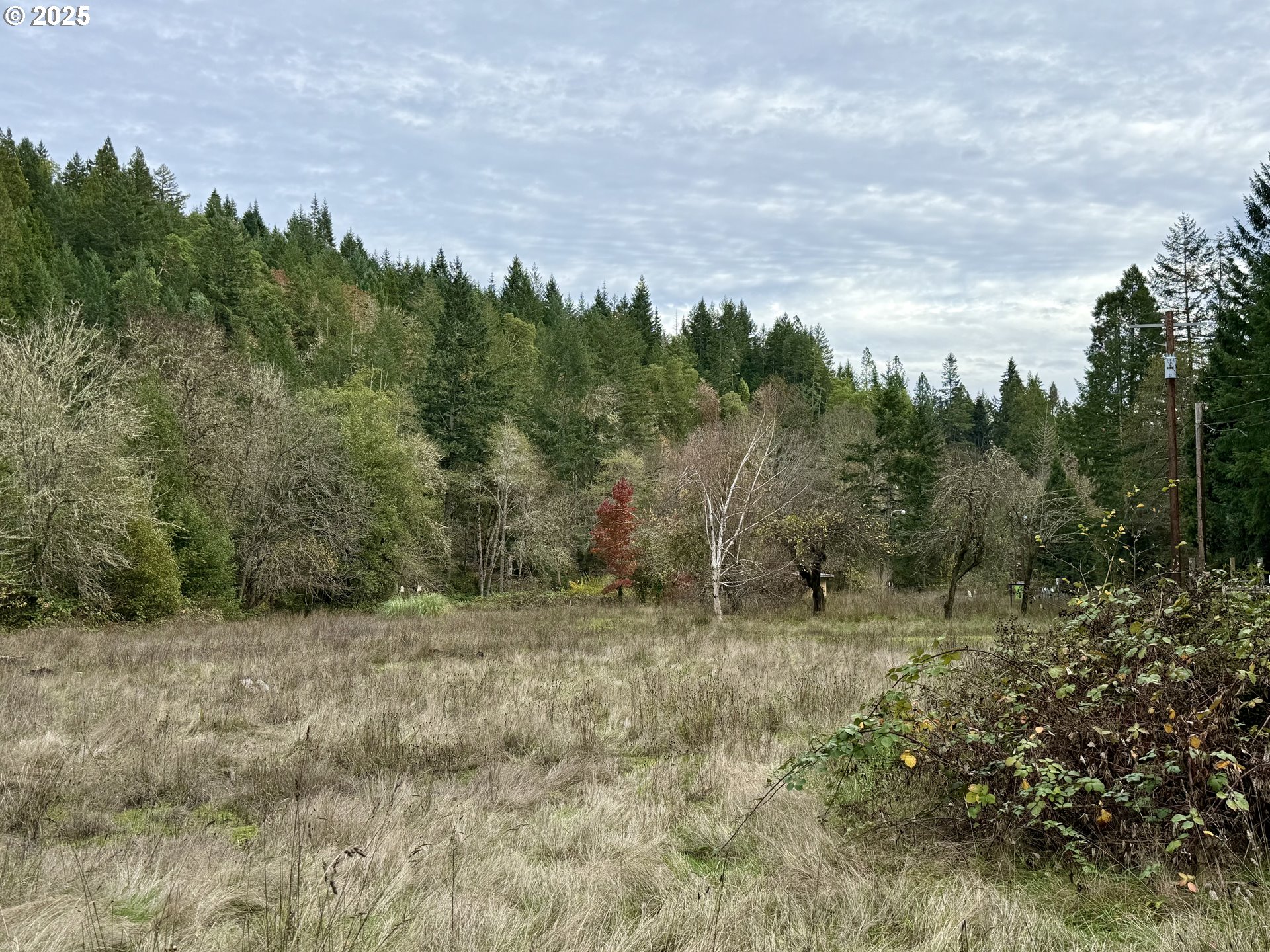 505 SIBOLD CANYON RD