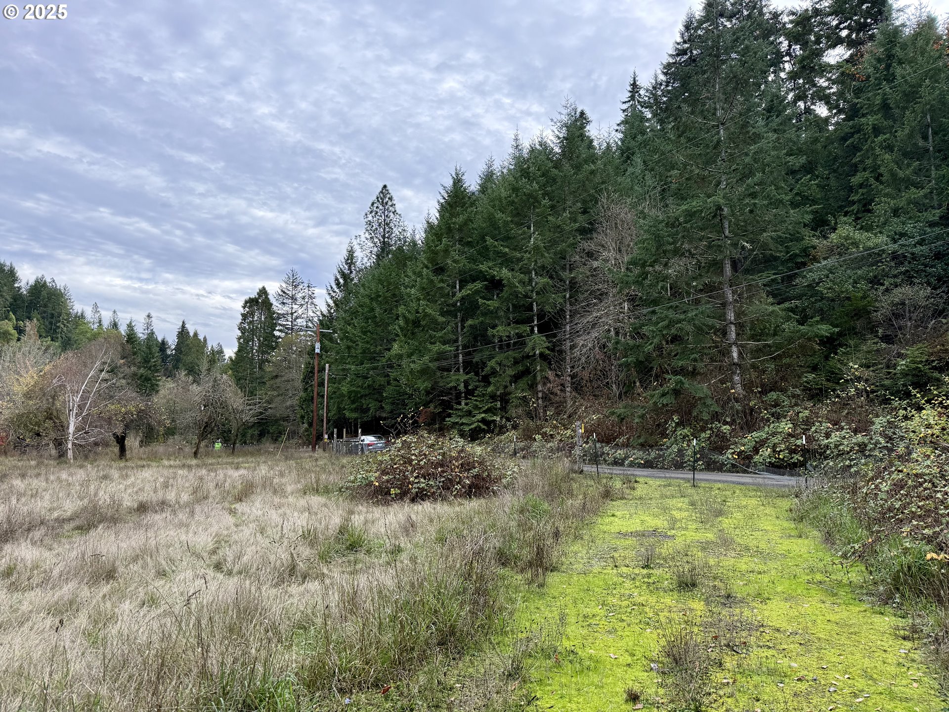 505 SIBOLD CANYON RD