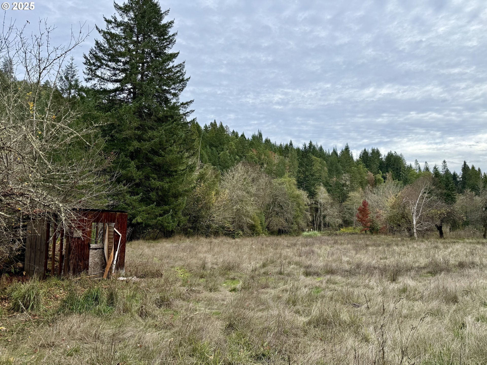 505 SIBOLD CANYON RD