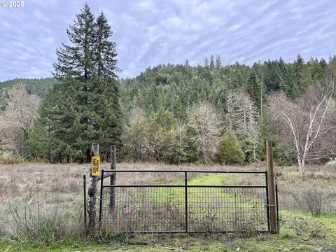 505 SIBOLD CANYON RD Tenmile OR 97481