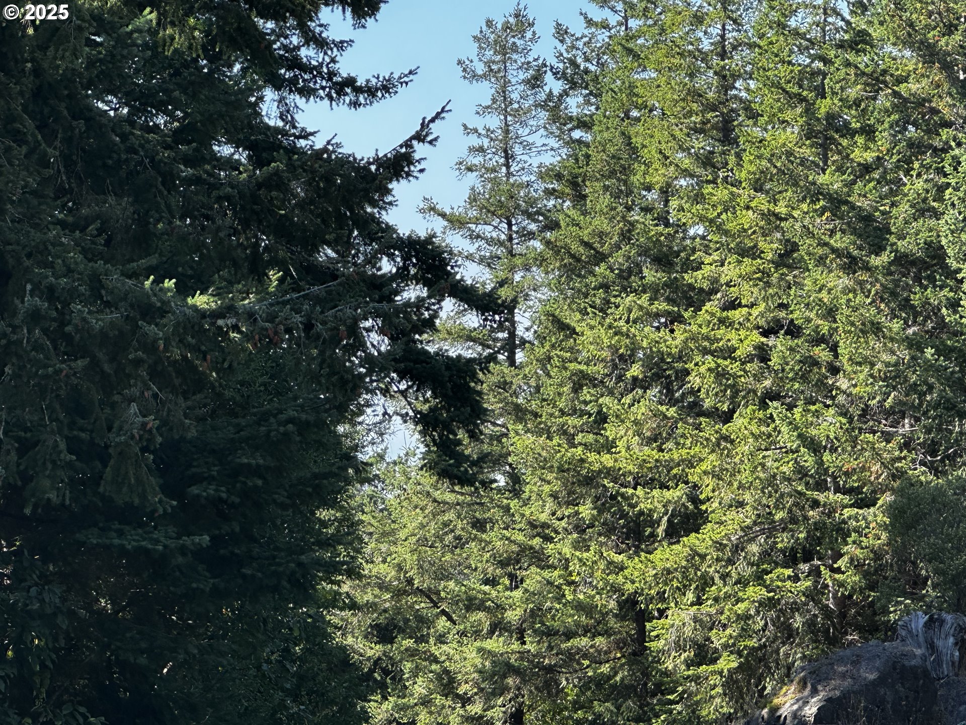 94515 LANGLOIS MOUNTAIN RD