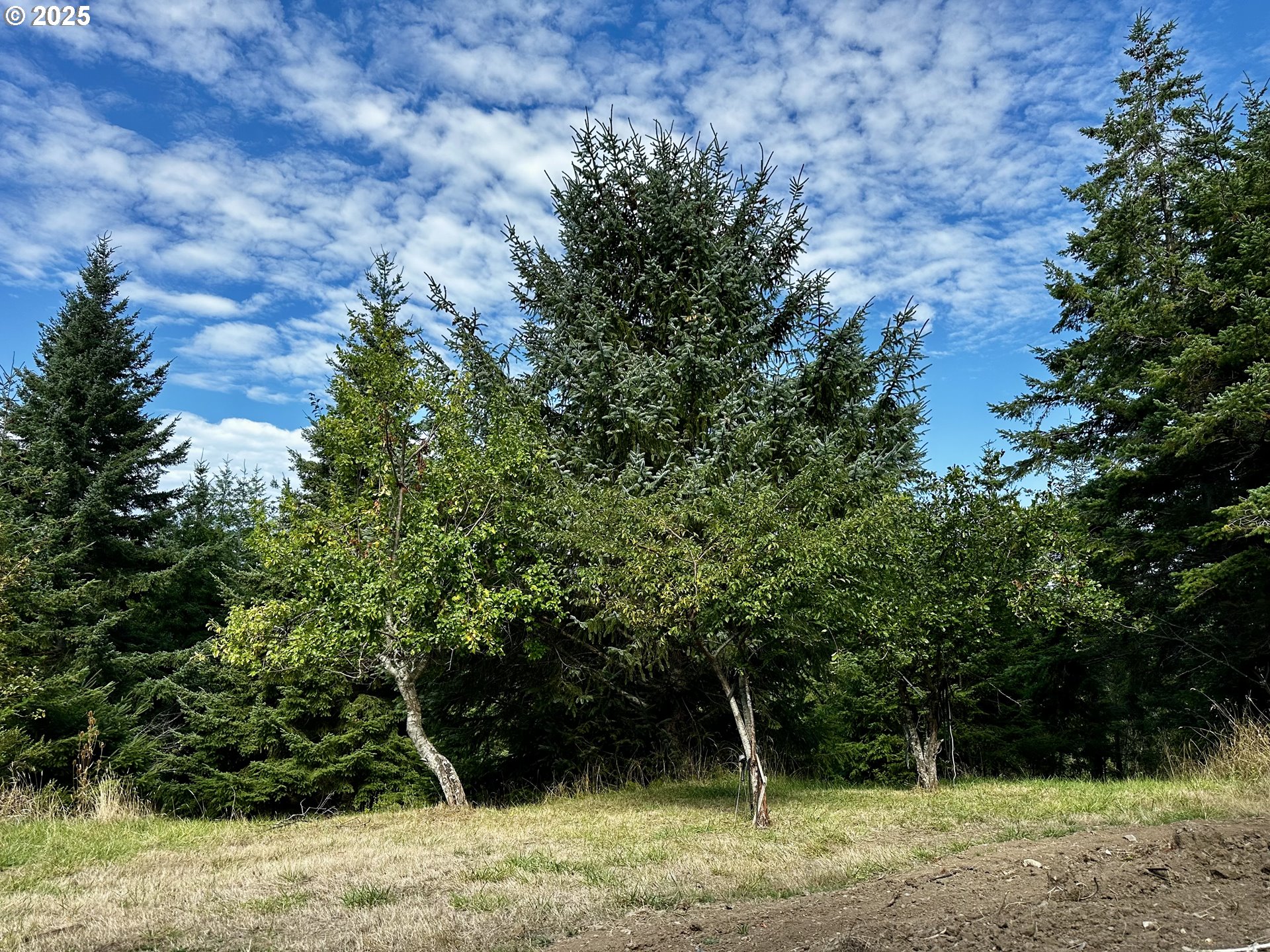 94515 LANGLOIS MOUNTAIN RD