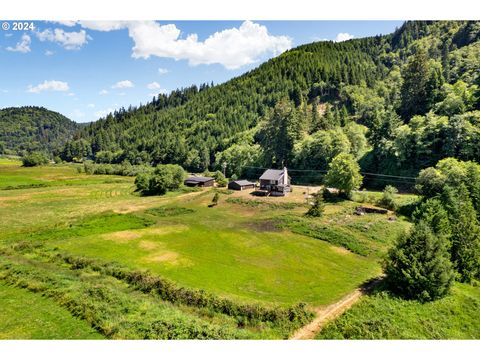 A home in Nehalem