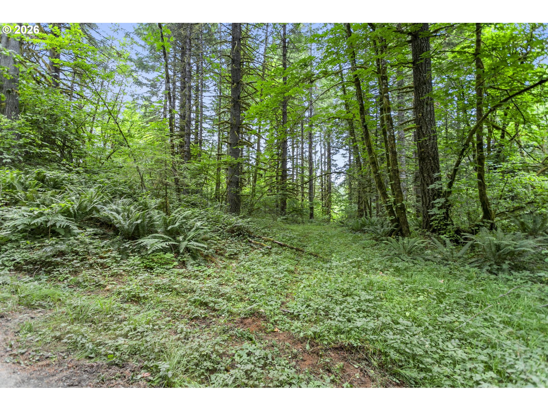 56570 NW STRASSEL RD