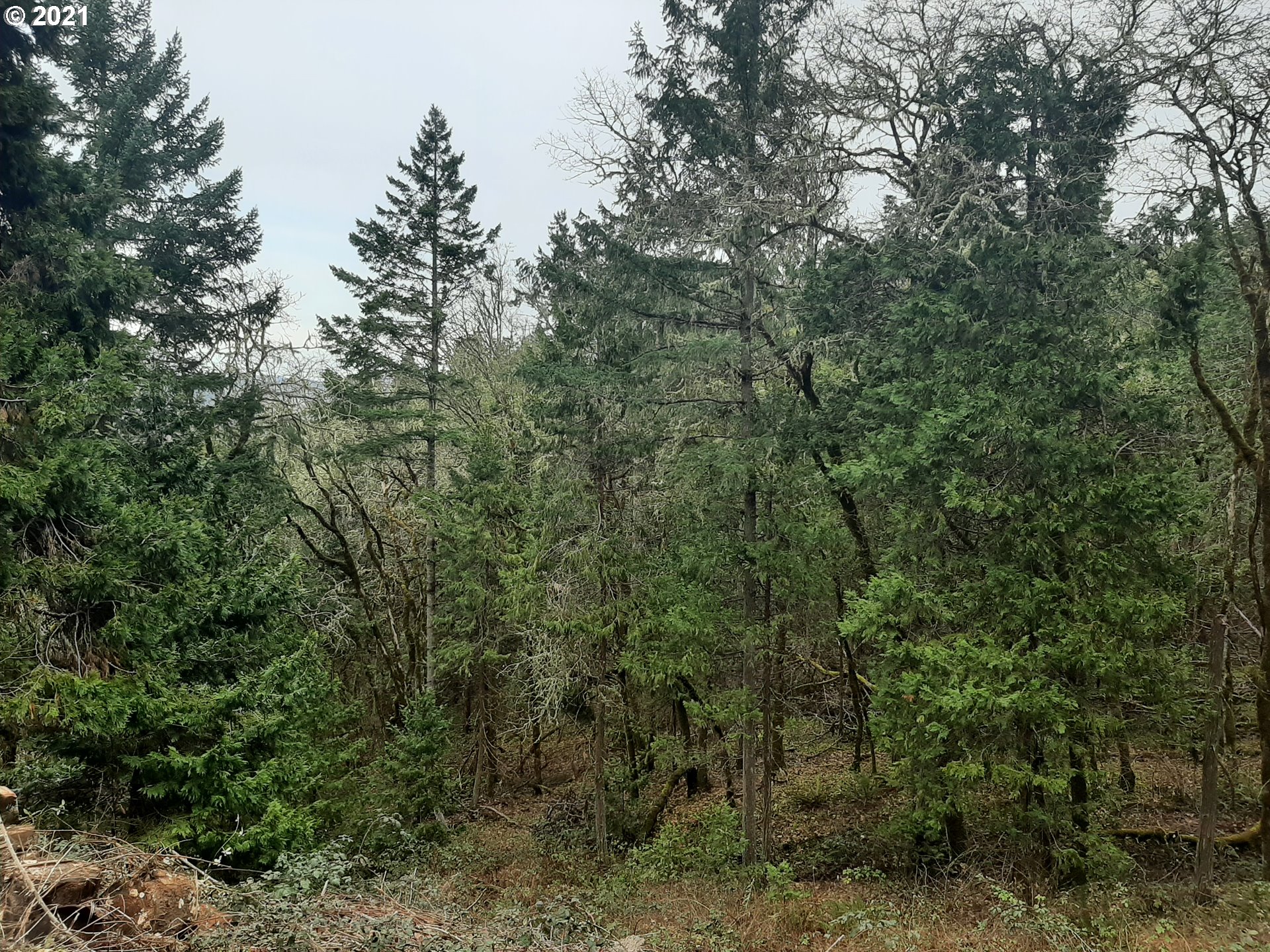 0 LOOKINGGLASS RD