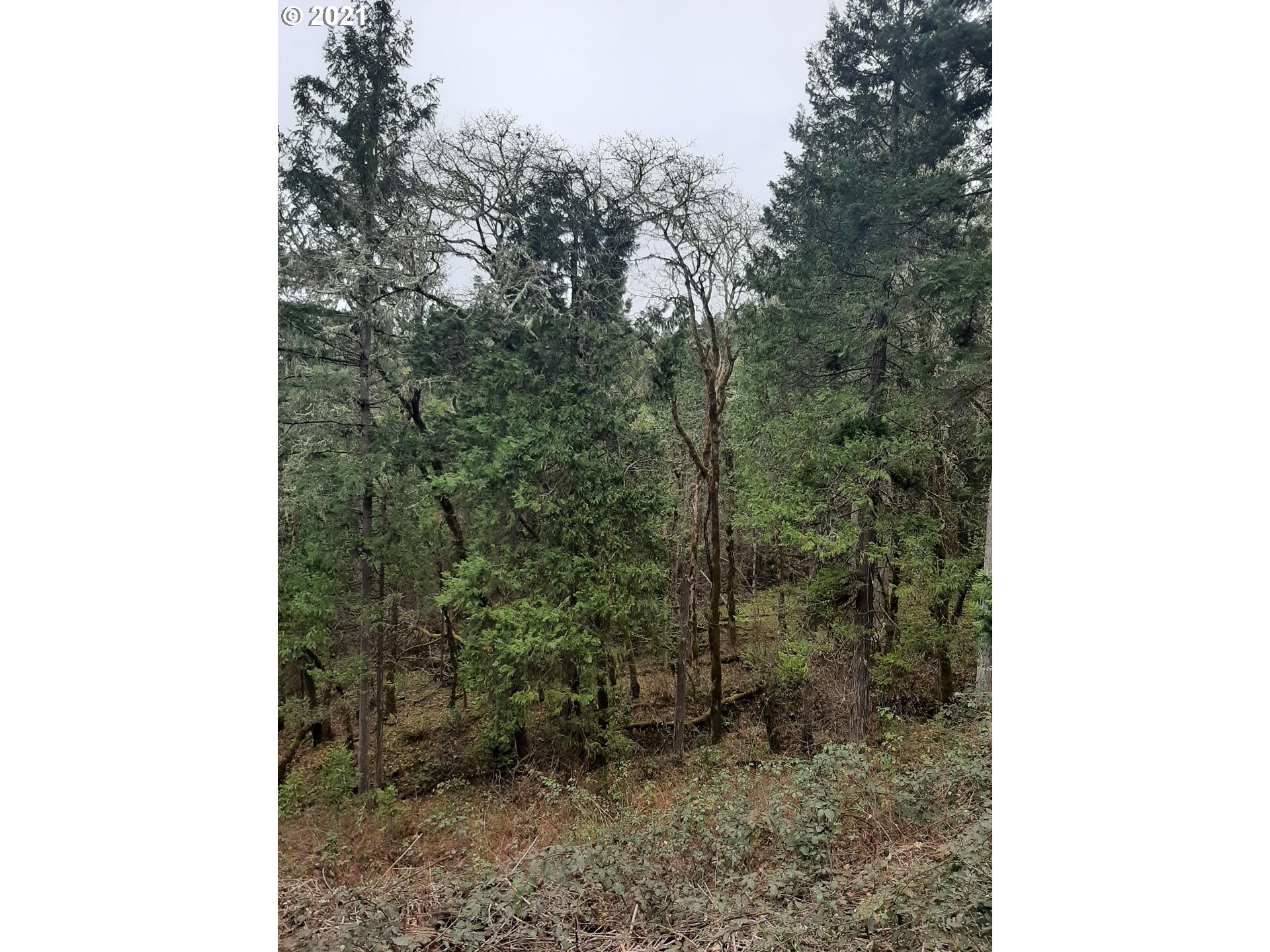 0 LOOKINGGLASS RD