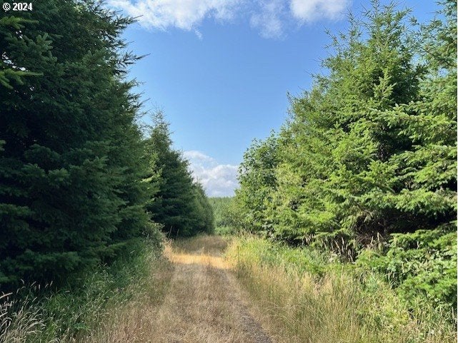 Lindberg RD
