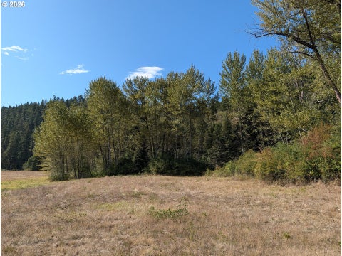 Tiny photo for 76526 W 2nd St, Oakridge, OR 97463 (MLS # 565836682)