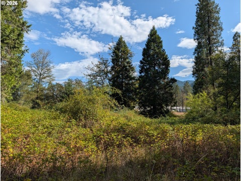 Tiny photo for 76526 W 2nd St, Oakridge, OR 97463 (MLS # 565836682)