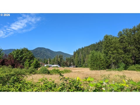 Tiny photo for 76526 W 2nd St, Oakridge, OR 97463 (MLS # 565836682)