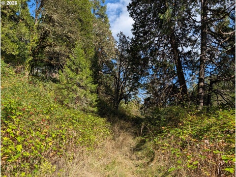 Tiny photo for 76526 W 2nd St, Oakridge, OR 97463 (MLS # 565836682)