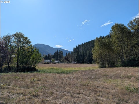 Tiny photo for 76526 W 2nd St, Oakridge, OR 97463 (MLS # 565836682)